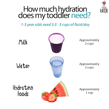 If you live in an area where the water is fluoridated, drinking water will also help prevent future tooth decay. Hydration Tips For Toddlers My Little Eater