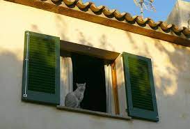Maybe you would like to learn more about one of these? Interior Or Exterior Shutters Sunburst Shutters Raleigh