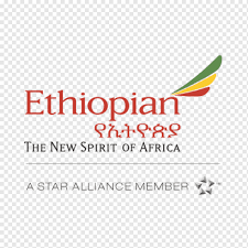 We only accept high quality images, minimum 400x400 pixels. Ethiopian Airlines Flight Addis Ababa Air Travel Boeing 737 Max Travel Text Logo Flight Png Pngwing
