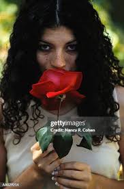 2,922 Mrs Rose Cohen Stock Photos, High-Res Pictures, and Images