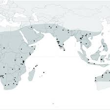 Image result for Cucumis quintanilhae