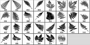 Today's post we have selected more useful free high quality photoshop. Ferns Brushes Free Photoshop Brushes At Brusheezy