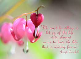Images of flowers and hearts with quotes. Bleeding Heart Flower Quotes Quotesgram