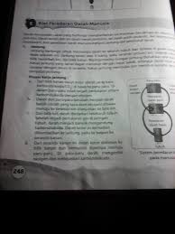 Jelaskan proses pengangkutan oksigen dan karbondioksida dalam tubuh. Jelaskan Cara Kerja Jantungl Dalam Pengangkutan Oksigen Brainly Co Id