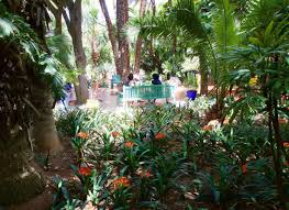 Der botanische garten frankfurt am main. Jardin Majorelle Der Schonste Garten In Marrakesch Peterstravel Marrakesch Tropische Garten Garten