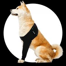 recovery sleeve dog suitical