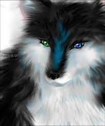 Black And White Female Wolf With One Green Eye And One Blue Eye Wolf Spirit Animal Anime Wolf Wolf With Blue Eyes