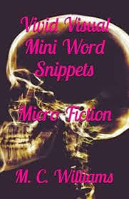 Vivid Visual Mini Word Snippets: Williams, M. C.: 9798851754166:  Amazon.com: Books