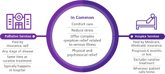 Call chapca if you have any questions or need any assistance in locating a provider in your area. Hospice Vs Palliative Care What S The Difference Vitas Vitas Healthcare
