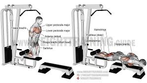 Pin On Exercices De Musculation