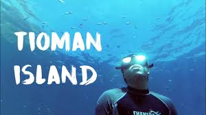 Kampong paya pulau tioman, tioman island, malaysia. Freediving Tioman Island 1080p Yi 4k Youtube