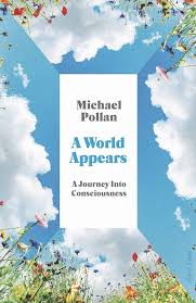 A World Appears: Grasping consciousness proves quite the head trip | The  Standard