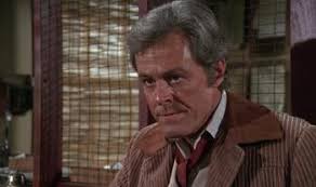 The Castaway Cowboy (1974)