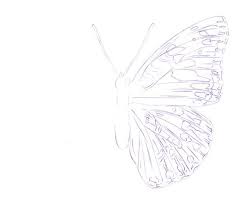 Looking for inspiration for your next sketch? How To Draw A Butterfly With Color Pencils