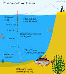 Viele kinder wachsen mit tieren auf, sie können sich einen alltag ohne haustiere gar nicht vorstellen. Angeln Mit Caster Angeln Fische Angeln Zander Angeln