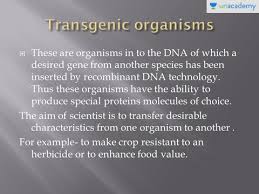 Maybe you would like to learn more about one of these? Upsc Cse Gs Transgenic Organisms In Hindi Offered By Unacademy