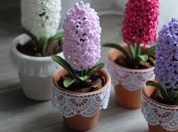 Sümbül ( hyacinthus ) çiçeği çok güzel kokan sümbül çoğu mevsimde ayakta kalan çiçekleri ve kokusuyla ünlüdür. Sumbul Bu Bitkinin Nasil Tedavi Edilecegi Kac Kez Sulanacagi Vb Video Evde Sumbul Yetistirmek Aydinlatma Gereksinimleri Evde Bir Tencerede Sumbul Nasil Sulanir Bir Tencerede Cicek Acan Bir Sumbul Nasil Sulanir
