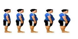 (échec, trop dur) et le gavage (demi succès, je suis passé de 47 à 50 mais j'ai perdu mes tablettes de chocolat). 3 Etapes Pour Savoir Si Vous Etes En Surpoids Ou Maigre