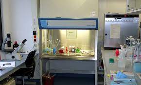 Jan 06, 2012 · optimally, the diagnostic laboratory would plan for — a general microbiology laboratory area able to be closed off from the main laboratory, i.e., from other laboratory disciplines; Cell Culture