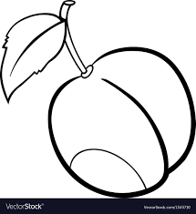 plum fruit for coloring book royalty free vector image books pages coloriage lego lanterne verte