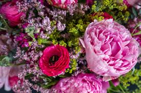 Check spelling or type a new query. Peonies Send A Peony Bouquet To Friends Loved Ones