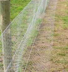 Rabbit Proof Garden Fencing Fenced Vegetable Garden Diy Garden Fence Rabbit Fence