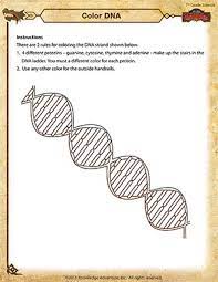 Science coloring pages are perfect for blossoming scientists! Color Dna Printable 7th Grade Science Worksheet School Of Dragons