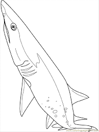 Learn about sharks, see shark pictures and watch shark videos at howstuffworks. Sand Tiger Shark Coloring Page For Kids Free Shark Printable Coloring Pages Online For Kids Coloringpages101 Com Coloring Pages For Kids