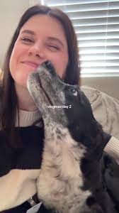 Vlogmas Day 2: A Monday Experience