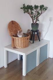 Katzentoilette Hack Katzentoilette Verstecken Mevrouwmiauw Nl In 2020 Katzen Toilette Katzentoilette Katze Diy