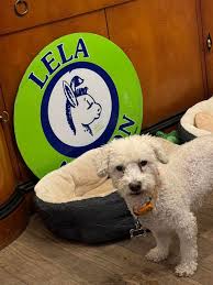 Lela Alston (@LelaAlstonAZ) • Facebook