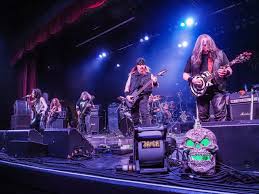 Image result for Dissotis melleri