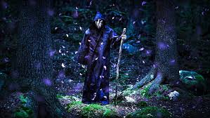 He was also the bassist for norther from 2000 until their disbandment in 2012, for amberian dawn from 2010 until 2013, and for cain's offering from 2009 until 2014. Hd Wallpaper Wintersun The Forest Seasons Jukka Koskinen Metal Band Wallpaper Flare