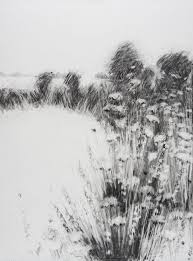 Hannah Woodman Garden Drawings Kestle Barton Landscape Drawings Landscape Sketch Cool Landscapes