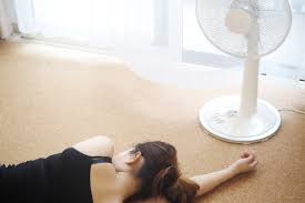 夏バテの原因を知って猛暑を乗り切ろう！夏バテ予防に効果的な栄養素も紹介｜かまぼこのある暮らし