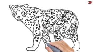 We did not find results for: Drawing Skill Leopard Face Drawing Easy