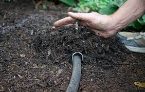 If installed correctly, they can. How To Install A Drip Irrigation System In Your Garden Soaker Hose Tips