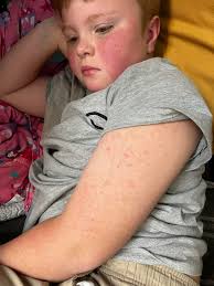 Shop's Sick, y'all. Boots came down with it yesterday, I caught it today.  We'll be closed until Monday. Hit up Jayson over at Dialed if you need  anything.