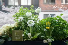 Krautergarten Auf Dem Balkon Balkon Pflanzen Pflanzen Balkonkasten