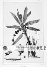 Revista Jurídica Luso-Brasileira, Ano 6 (2020), N.º 5