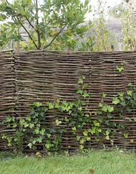 Check local building codes concerning fence restrictions such as height and location. Hardscaping 101 Woven Fences Gardenista