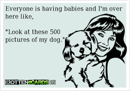 Hah This Is So Me Funny Humor Just For Laughs