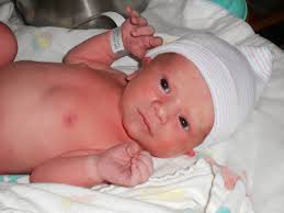 Scott Wichert's Instagram, Twitter & Facebook