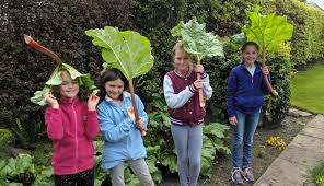 Which is why we allow you to change the family size in our calculator. 9 Unusual Kids Gardening Ideas Fun Lockdown Garden Activities For All The Family