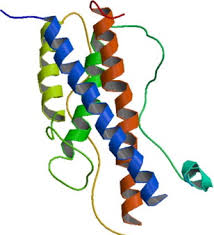Jan 18, 2019 · the human growth hormone (hgh) helps to influence height, as well as build bones and muscles in the body. Human Growth Hormone New Delivery Systems Alternative Routes Of Administration And Their Pharmacological Relevance Sciencedirect