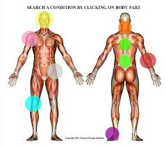 Body Diagram Physical Therapy Solutions