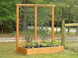 We did not find results for: Growing Plants On Trellises How Tos Diy