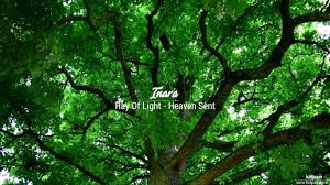 Contoh saja penghitungan tahun baru imlek akan berbeda. Ø§Ù†Ø§Ø±Ø§ Inara Name Meaning In Urdu Arabic Names For Girls