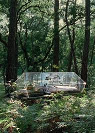 Glass Coffin Curated By Everden Rust Funeral Services Crematorium Dark Fairytale Dark Paradise Fairytale Photography