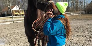 Rescue provides update on animals from Clermont County hoarding case